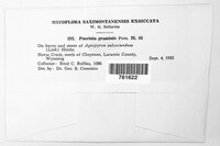 Image Associated With the Occurence